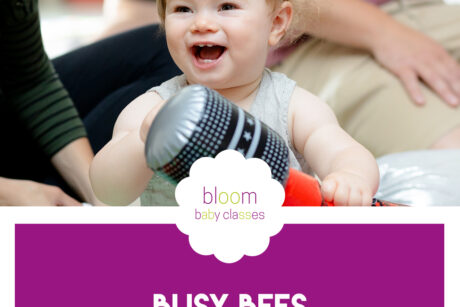 classes for 6 months old south milford