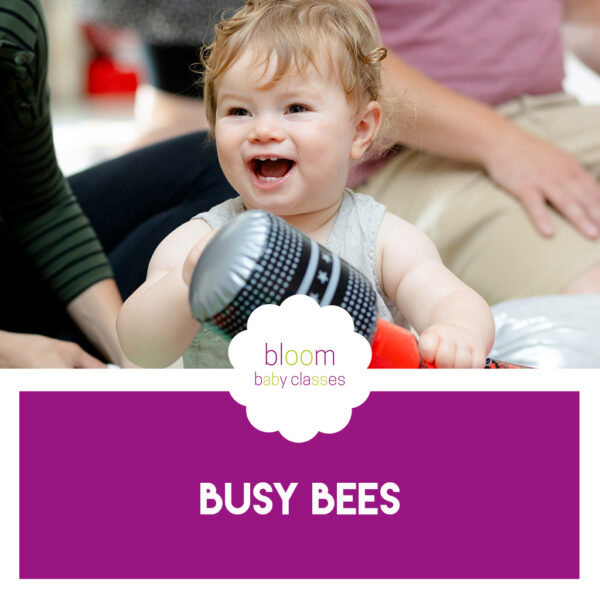 classes for 6 months old south milford