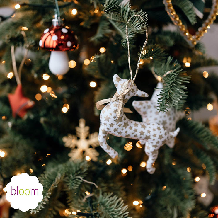 christmas specials at bloom baby classes