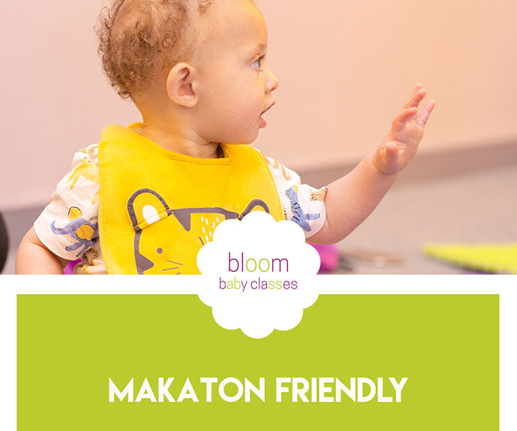 makaton friendly